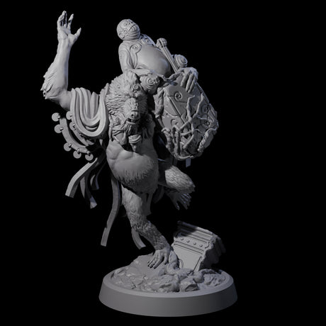 Wise Hazodee Elder C Miniature for Dungeons and Dragons, Pathfinder or other TTRPGs