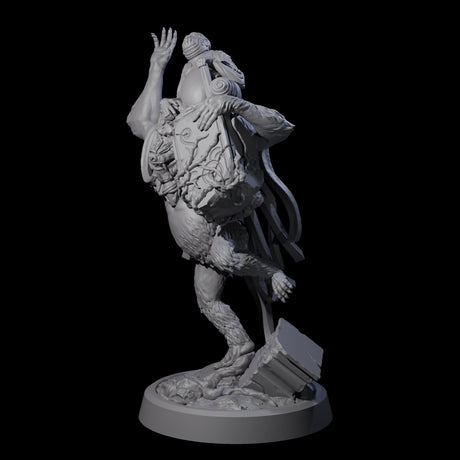 Wise Hazodee Elder C Miniature for Dungeons and Dragons, Pathfinder or other TTRPGs