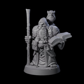 Wise Travelling Dwarf Seer Miniature for Dungeons and Dragons, Pathfinder or other TTRPGs