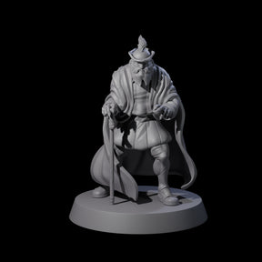 Wizened Noble Miniature for Dungeons and Dragons, Pathfinder or other TTRPGs