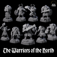 Wrapped Up Warriors of the North Miniature for Dungeons and Dragons, Pathfinder or other TTRPGs