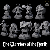Wrapped Up Warriors of the North Miniature for Dungeons and Dragons, Pathfinder or other TTRPGs