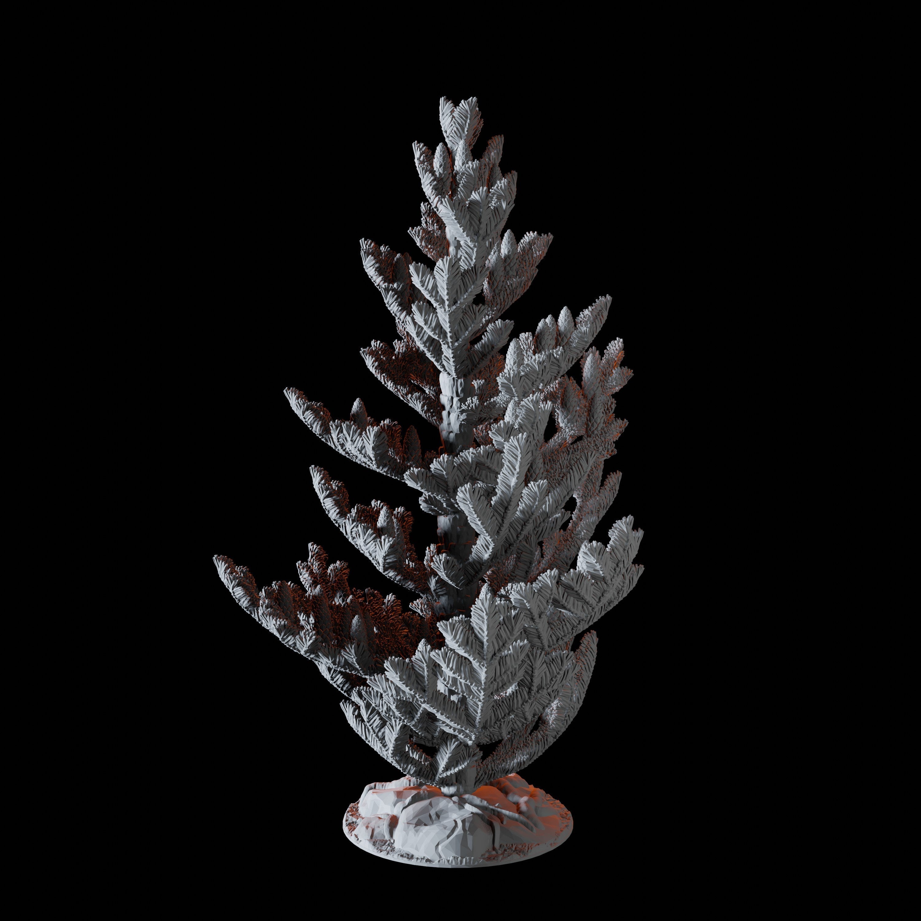 Young Conifer - Scatter Terrain Miniature for Dungeons and Dragons - Myth Forged