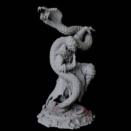 Yuan-Ti Snake Charmer C Miniature for Dungeons and Dragons, Pathfinder or other TTRPGs
