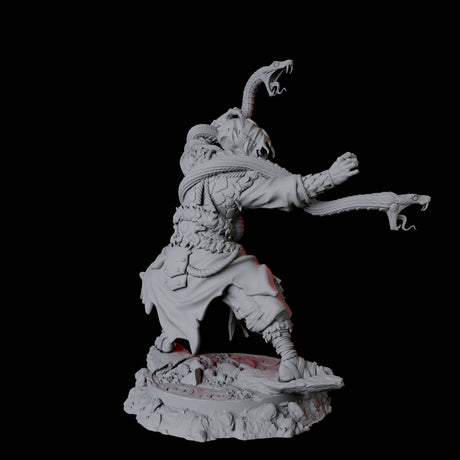 Yuan-Ti Snake Charmer D Miniature for Dungeons and Dragons, Pathfinder or other TTRPGs