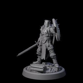 Zealous Human Crusader B Miniature for Dungeons and Dragons, Pathfinder or other TTRPGs