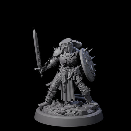 Zealous Human Crusader D Miniature for Dungeons and Dragons, Pathfinder or other TTRPGs