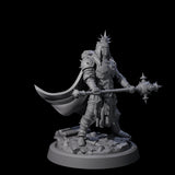 Zealous Human Crusader E Miniature for Dungeons and Dragons, Pathfinder or other TTRPGs