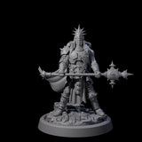 Zealous Human Crusader E Miniature for Dungeons and Dragons, Pathfinder or other TTRPGs