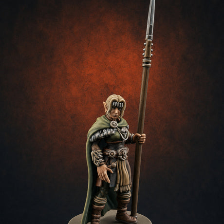Spear Warden Elf Warriors I Miniature for Dungeons and Dragons, Pathfinder or other TTRPGs