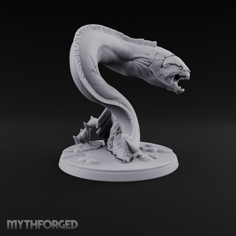 The Reef Has Drawn Blood Giant Sea Eel B