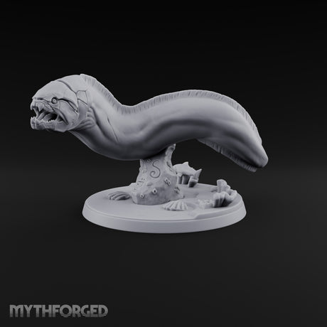 The Reef Has Drawn Blood Giant Sea Eel C