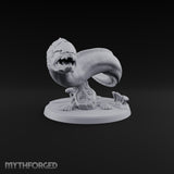 The Reef Has Drawn Blood Giant Sea Eel C