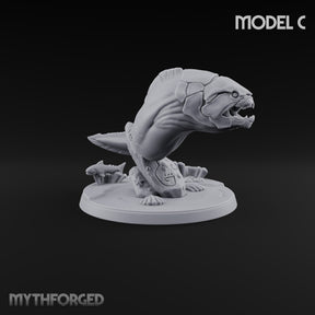 The Reef Has Drawn Blood Giant Sea Eel C