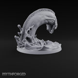 The Reef Has Drawn Blood Giant Sea Eel D