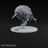 Itching for a Host Giant Flea with Pincer Claws and Bristled Abdomen