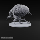 Itching for a Host Giant Flea with Pincer Claws and Bristled Abdomen