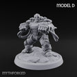 Armour Clad Brawling Dwarf Breaker D