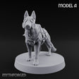 Armour Plated Snarling Trench Combat Dog A Miniature for Dungeons and Dragons, Pathfinder or other TTRPGs