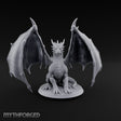 Storm Gathers Beneath Open Wings Adult Dragon