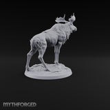 Antlers Up, Snow Underhoof Elk Beast A