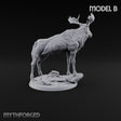 Antlers Up, Snow Underhoof Elk Beast B