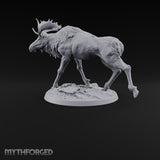 Antlers Up, Snow Underhoof Elk Beast D
