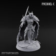 Braid Cracks Like a Whip Elf Sentinel Swordswoman C