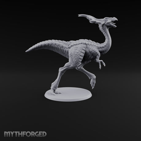 Long Necks, Short Tempers Ceratopsian Dinosaur B