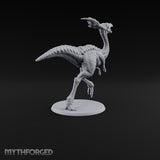 Long Necks, Short Tempers Ceratopsian Dinosaurs — B