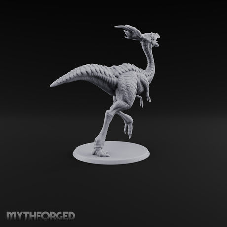 Long Necks, Short Tempers Ceratopsian Dinosaur B