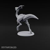 Long Necks, Short Tempers Ceratopsian Dinosaur B