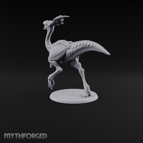 Long Necks, Short Tempers Ceratopsian Dinosaur B