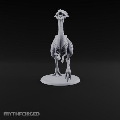 Long Necks, Short Tempers Ceratopsian Dinosaur B