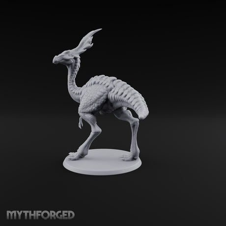 Long Necks, Short Tempers Ceratopsian Dinosaur C