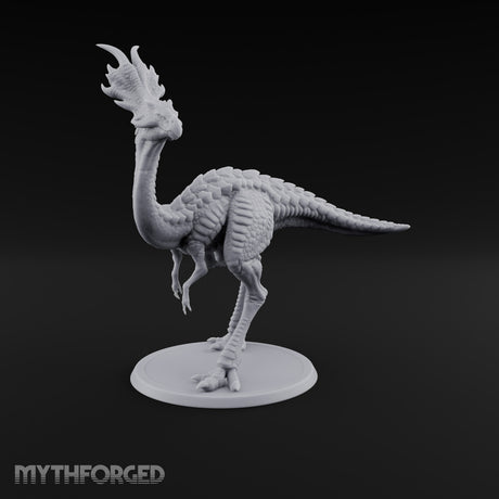 Long Necks, Short Tempers Ceratopsian Dinosaur C
