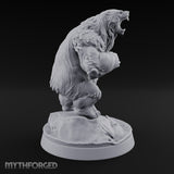 Thaw Is Over Polar Bear Beasts — B