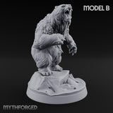 Thaw Is Over Polar Bear Beasts — B
