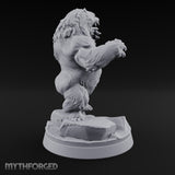 Thaw Is Over Polar Bear Beast C