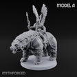 Winged Hussars, Armoured Bruin Dwarf Bear Rider A
