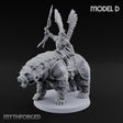 Winged Hussars, Armoured Bruin Dwarf Bear Rider D