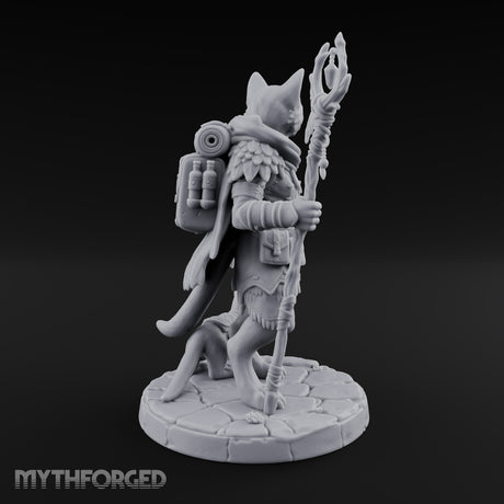 One Trail, Two Sets of Paws Tabaxi Beast Master
