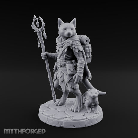 One Trail, Two Sets of Paws Tabaxi Beast Master
