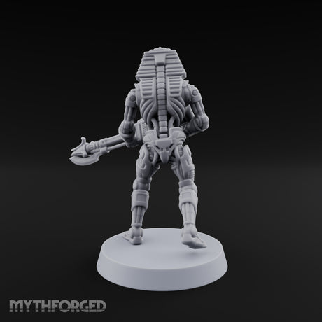 Sandstorm Protocol Warforged Scarab Soldier A