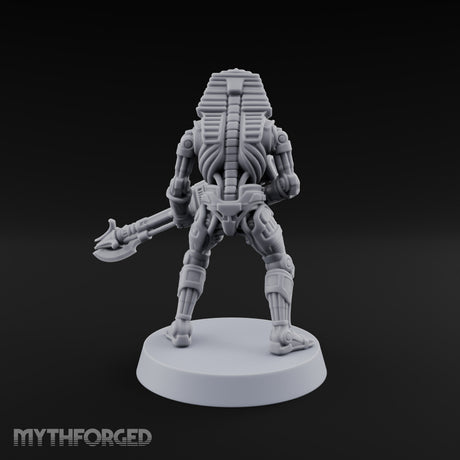Sandstorm Protocol Warforged Scarab Soldier D