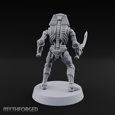 Sandstorm Protocol Warforged Scarab Soldier F