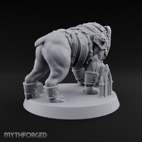 Muzzled for Everyone's Sake Mastiff War Dog