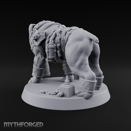 Muzzled for Everyone's Sake Mastiff War Dog