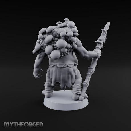 The Mushrooms Moved In Rent-Free Troll Spear Warrior