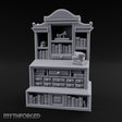 Bone-Displayed Drawer-Banked Scholar's Grand Cabinet Bookcase